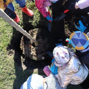 575182685_1295318119301823_574042352110914780_n